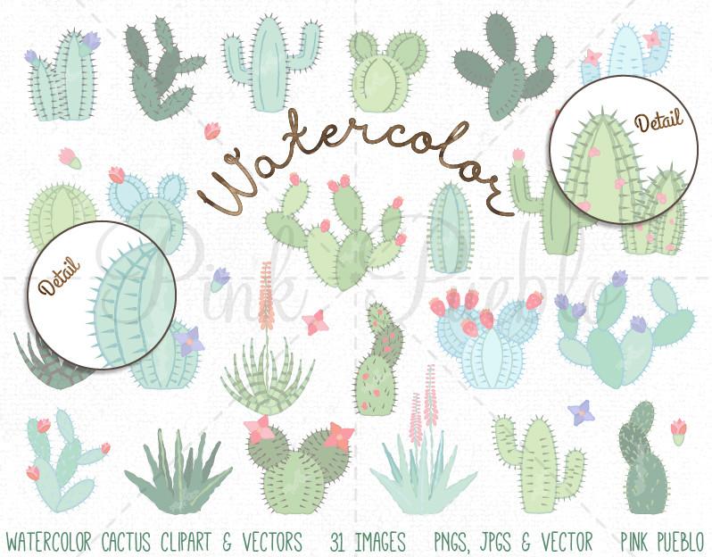 798x624 Watercolor Cactus Clipart And Vectors Pinkpueblo - Watercolor Cactus Vector