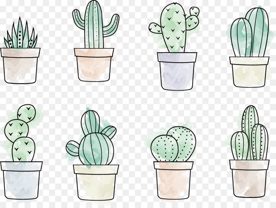 900x680 Cactaceae Drawing Painting - Watercolor Cactus Vector