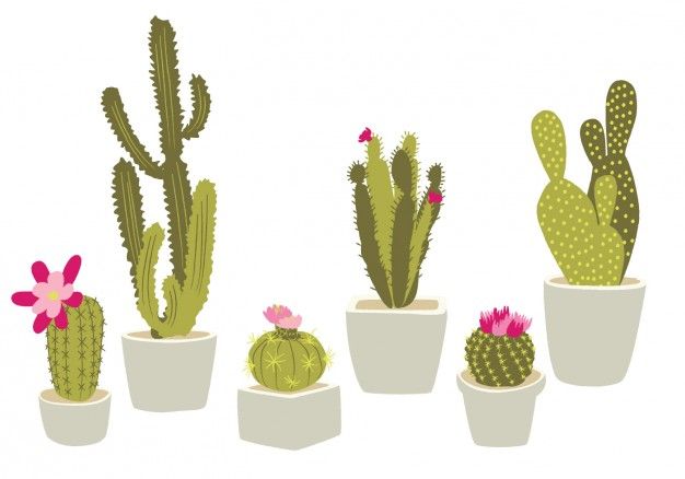 626x438 Cactus Vectors, Photos And Psd Files Free Download Journey In - Watercolor Cactus Vector