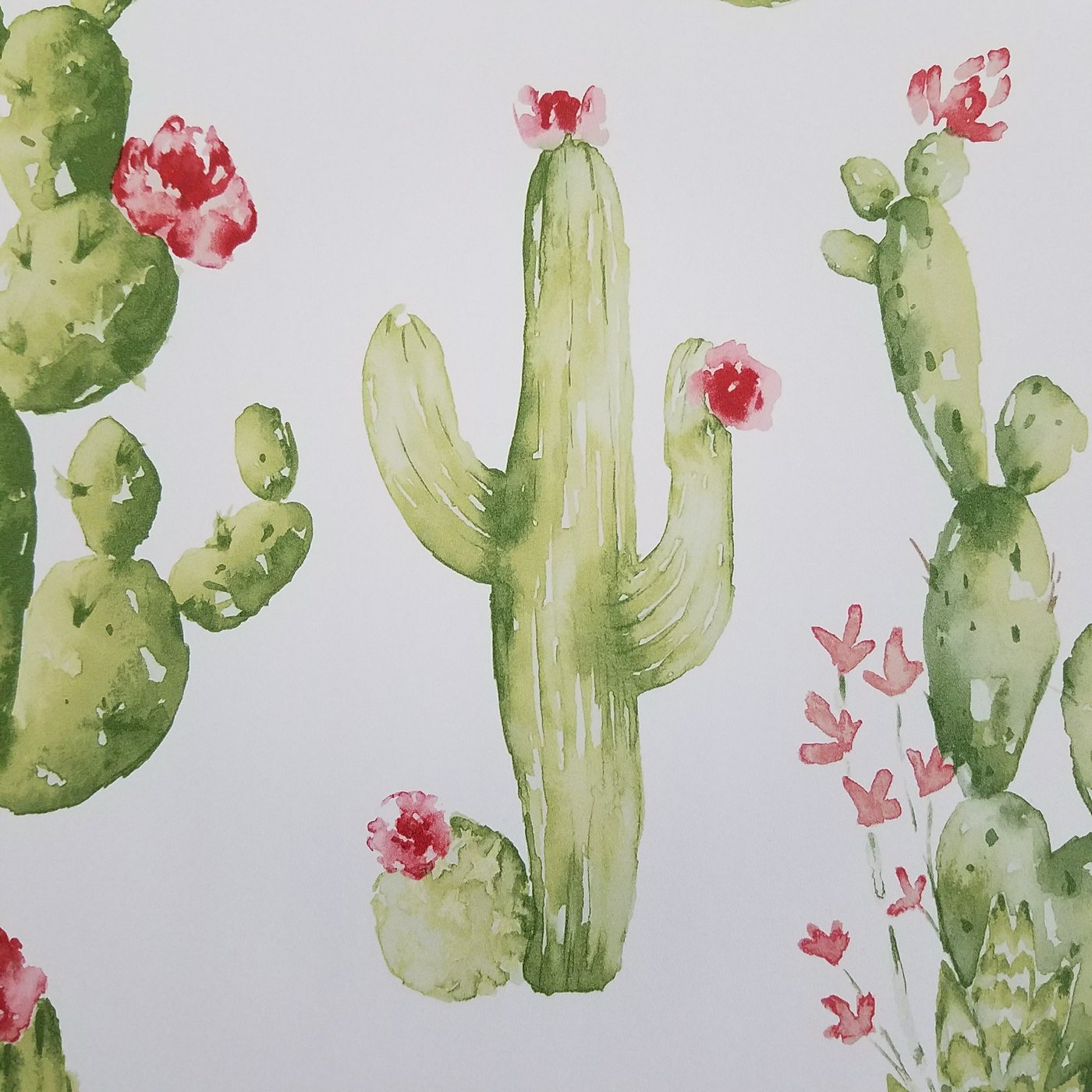 1400x1400 Watercolor Botanical Cactus Wallpaper Ck36630 D. Marie Interiors - Watercolor Cactus Wallpaper