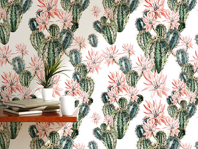 665x500 Costacover - Watercolor Cactus Wallpaper