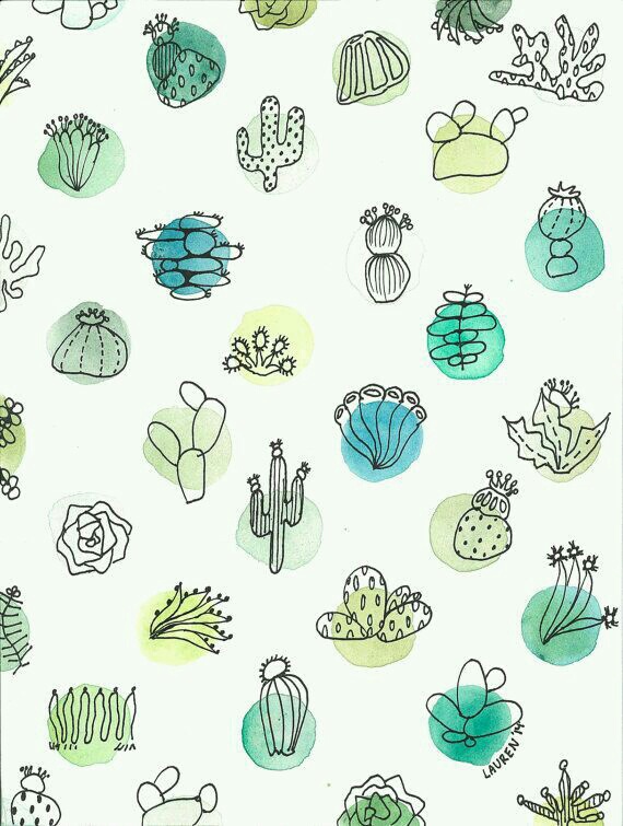 570x755 Watercolor Cactus Shared By Anne Rink On We Heart It - Watercolor Cactus Wallpaper