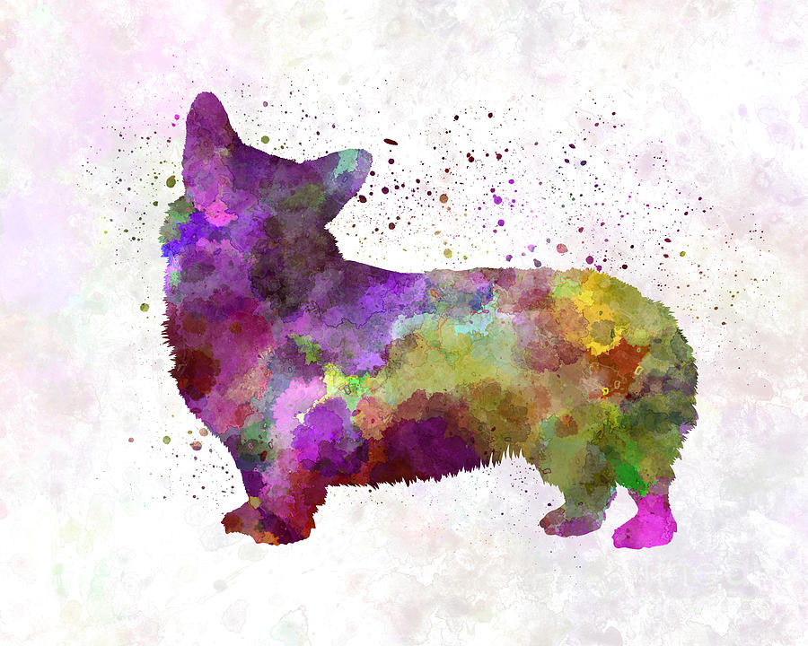 900x720 Welsh Corgi Cardigan In Watercolor Painting By Pablo Romero - Watercolor Cardigan