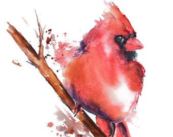 340x270 Cardinal Watercolor Art Print By Nancy Knight, Watercolor Painting - Watercolor Cardinal