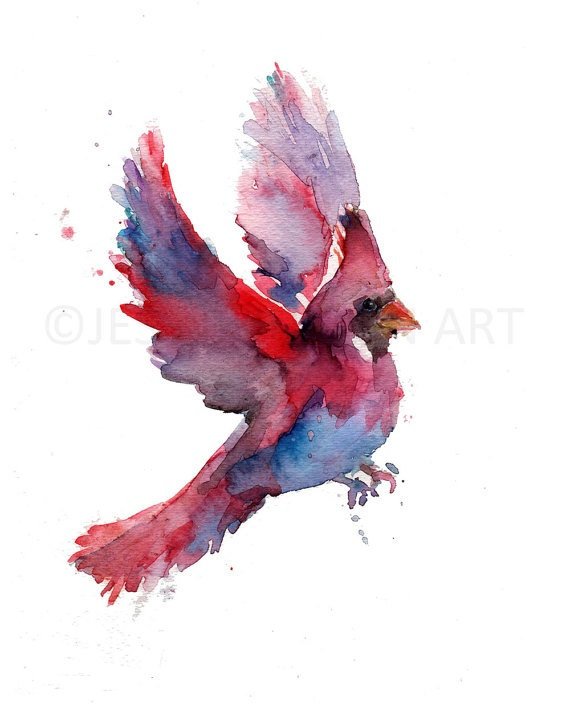 570x712 Cardinal Watercolor Painting Print Cardinal Watercolor Etsy - Watercolor Cardinal