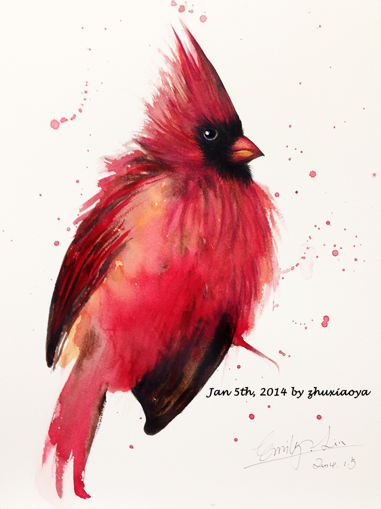 776x1036 North Cardinal Birds Watercolor Artwrok By Emily Lin - Watercolor Cardinal