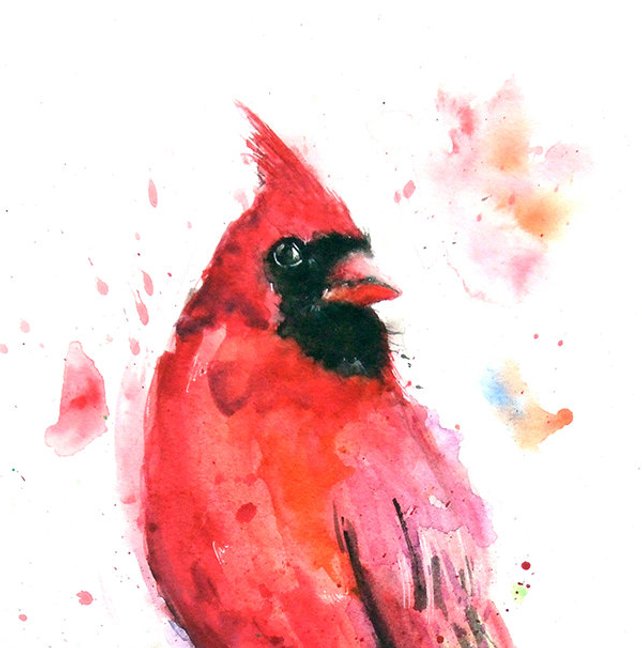 Watercolor Cardinal at PaintingValley.com | Explore collection of ...