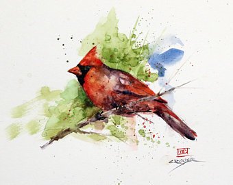 340x270 Watercolor Cardinal Etsy - Watercolor Cardinal