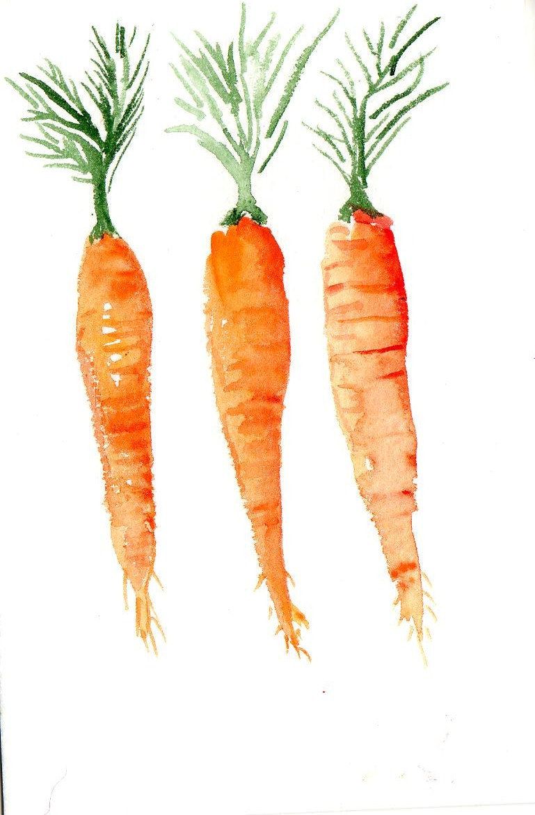 769x1172 4 X 6 Original Carrots Painting Watercolor Painting Watercolor - Watercolor Carrot