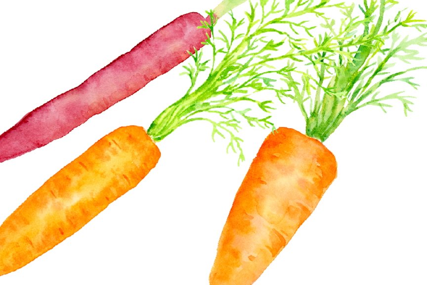 864x576 Watercolor Carrot Illustration By Cornercroft - Watercolor Carrot