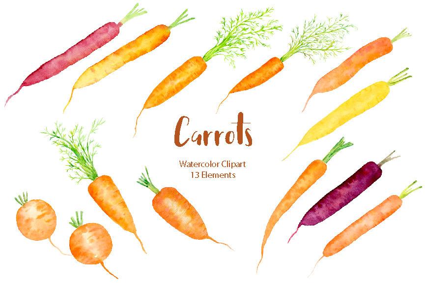 865x576 Watercolor Clipart,carrot Illustration, Rainbow Carrots - Watercolor Carrot