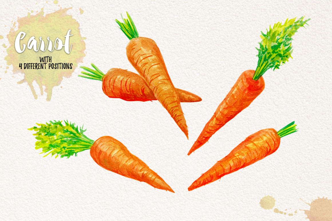 1160x772 Watercolor Vegetables, Herbs By Graphobia - Watercolor Carrot