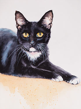 279x374 Custom Cat Portraits And Watercolor Paintings - Watercolor Cat