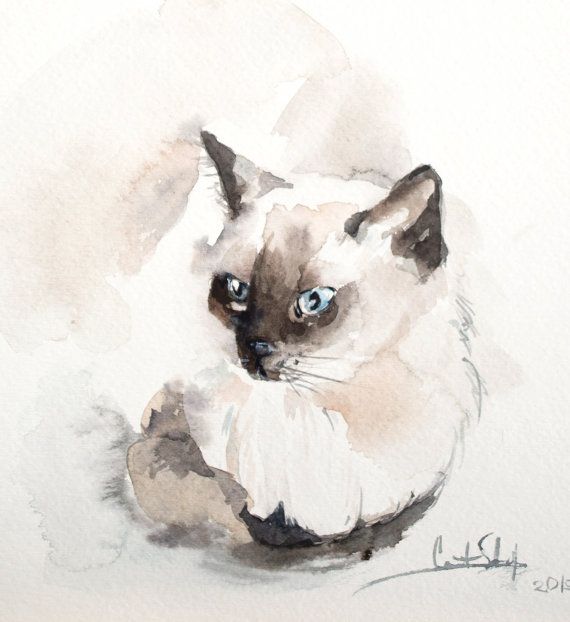 570x622 Siamese - Watercolor Cat