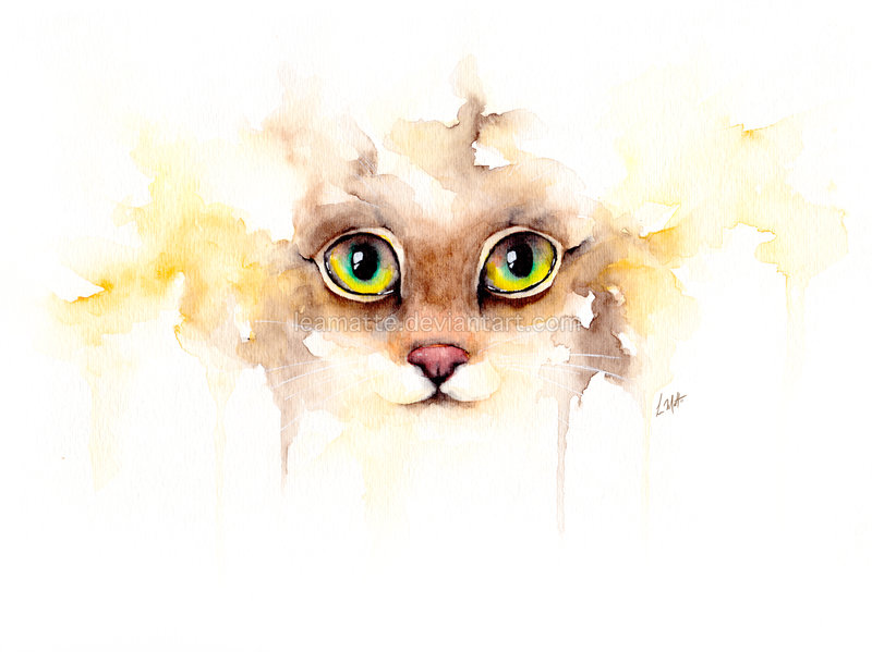 800x599 Watercolor Cat By Leamatte - Watercolor Cat