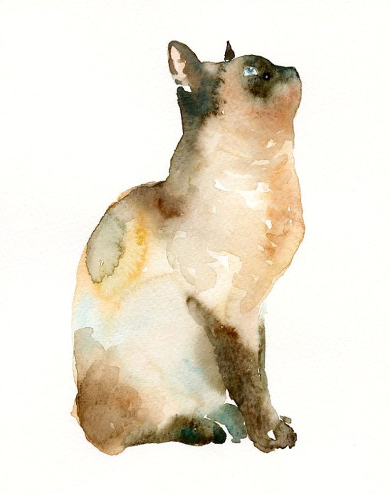 791x1000 Cat By Dimdiart Original Watercolor Painting 8x10inchxxxxall The - Watercolor Cat