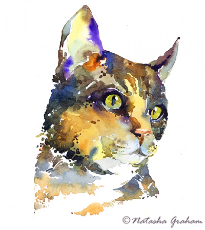 668x750 Natalie Graham - Watercolor Cat Art