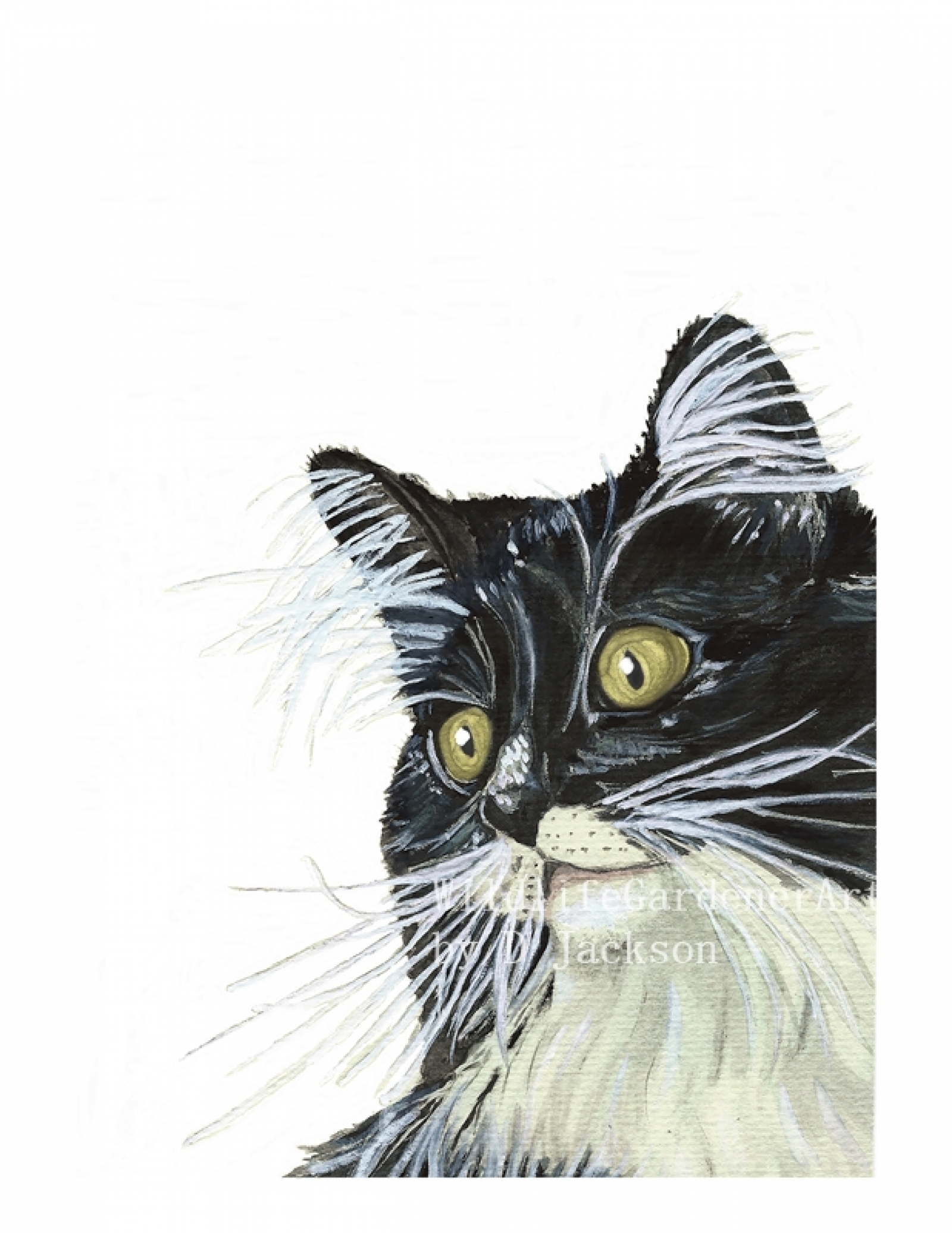 Watercolor Cat Art at PaintingValley.com | Explore collection of ...