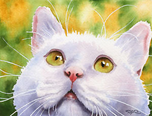 300x228 White Cat Art Print Watercolor Painting 8 X 10 Signed By Artist - Watercolor Cat Art