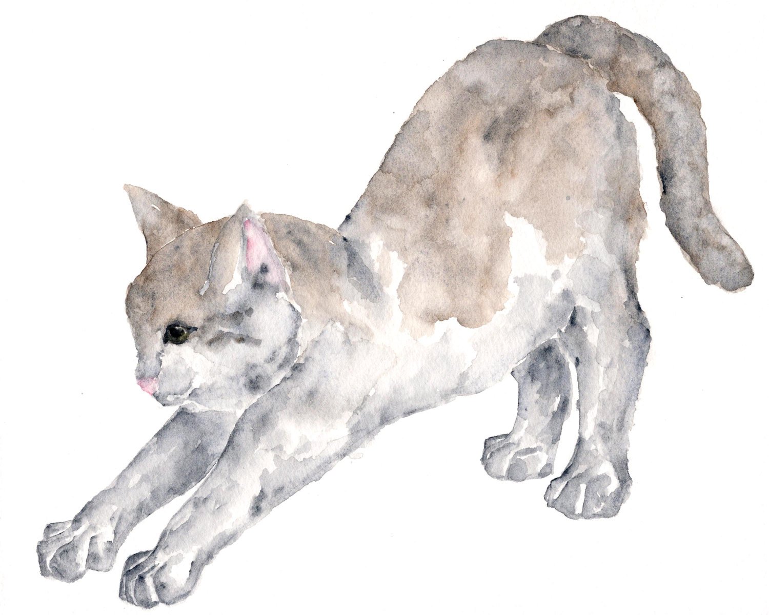 1500x1200 Watercolor Cat Painting Cat Art Cats Watercolor Animals Etsy - Watercolor Cat Art