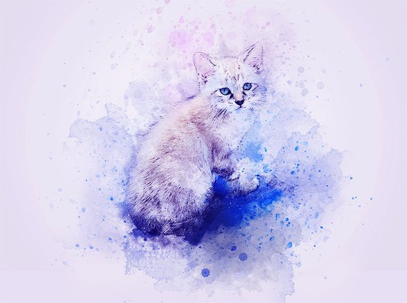 570x424 Watercolor Cat Print Water Color Kitten Print Cute Kitty Etsy - Watercolor Cat Art