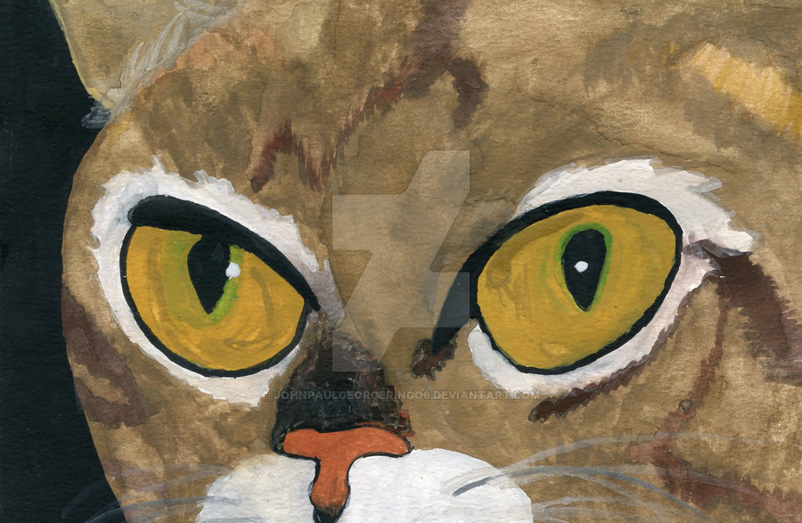 900x587 Cat Eyes Watercolor By Johnpaulgeorgeringo6 - Watercolor Cat Eyes