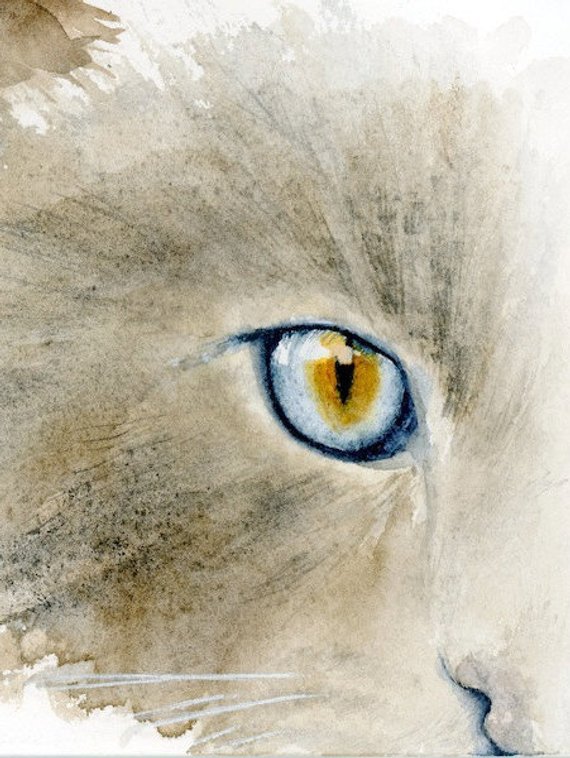 570x758 Cat Eye Watercolor Print Feline Watercolor Cat Print Blue Etsy - Watercolor Cat Eyes