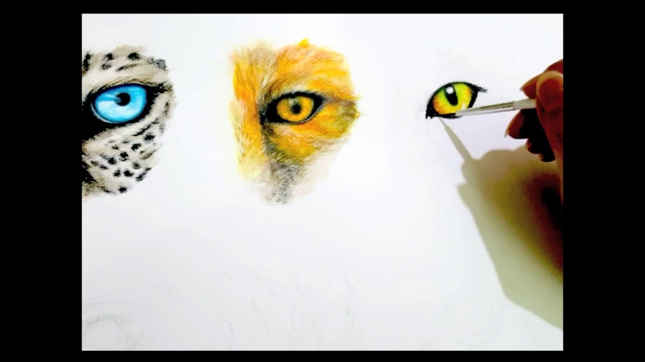 1280x720 Drawing Cat Eyes With Watercolor Pencils - Watercolor Cat Eyes