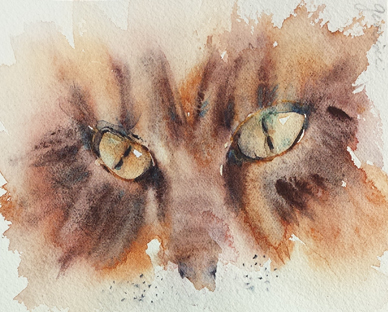 388x312 A Study Of Cats Eyes In Watercolor Paint With Me - Watercolor Cat Eyes