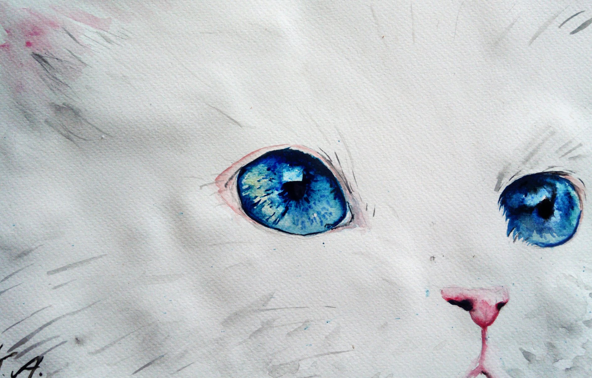 Акварельными красками глаз кота