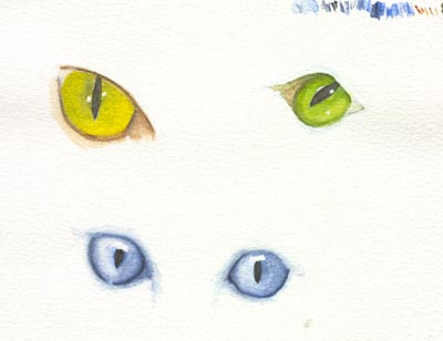 400x308 Watercolour Cats Eyes - Watercolor Cat Eyes
