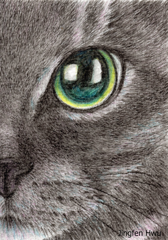 570x812 Lifelikerealistic Cat Drawing, Watercolor Pencil, The Face Of A - Watercolor Cat Eyes