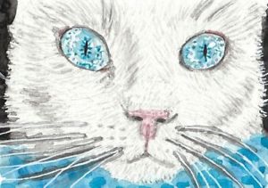 300x211 White Cat Face Blue Eyes Watercolor Aceo Original Painting Ebay - Watercolor Cat Eyes
