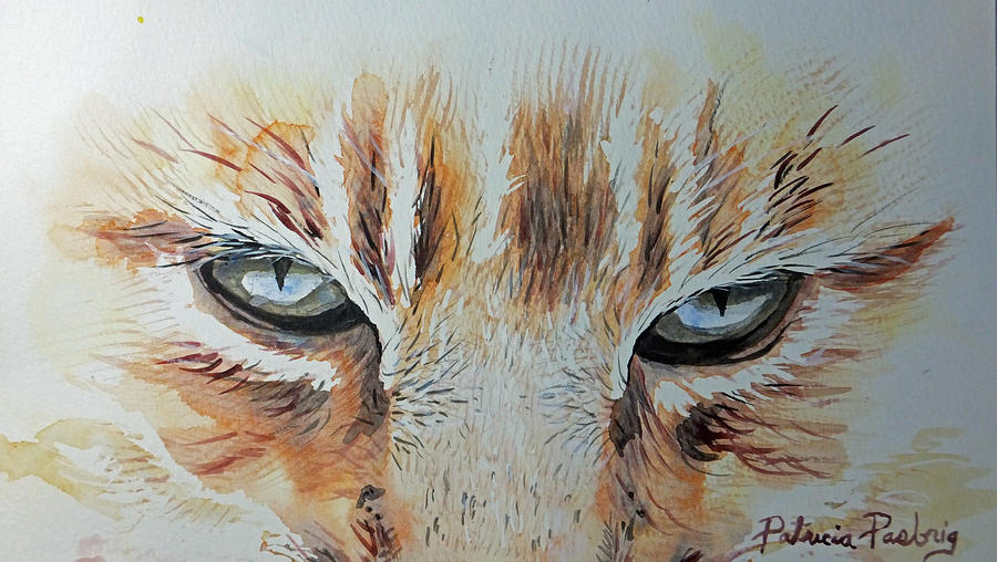 900x508 Cat Eyes Painting By Patricia Pasbrig - Watercolor Cat Eyes