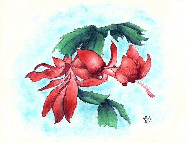 600x463 Christmas Cactus - Watercolor Challenge