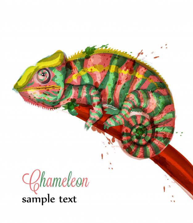 626x722 Chameleon Watercolor Illustration Vector Premium Download - Watercolor Chameleon
