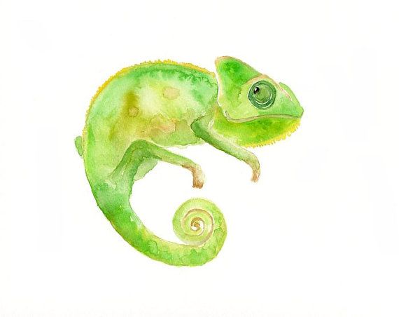 570x452 Drawn Cameleon Watercolor - Watercolor Chameleon