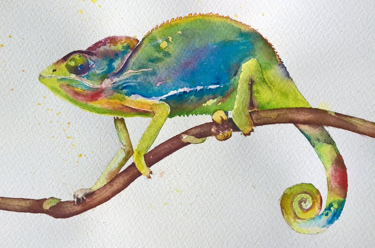 1200x795 George Grayland On Twitter Chameleon Watercolour From A Photo By - Watercolor Chameleon