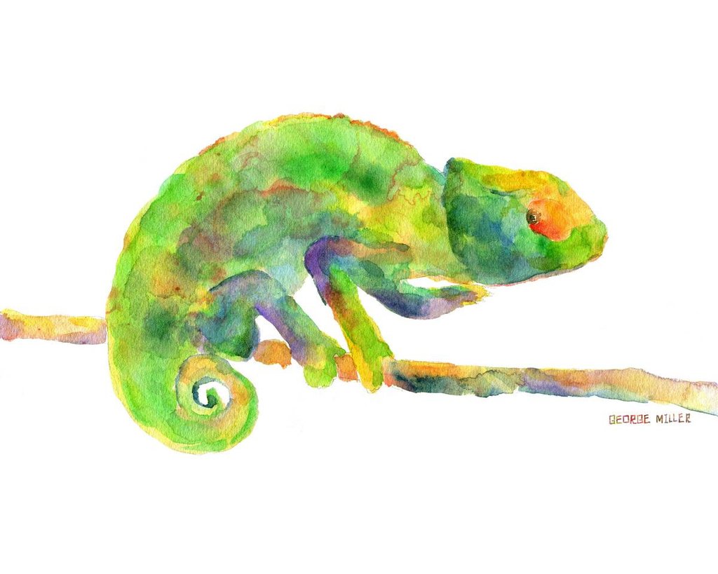 1024x819 Print Art, Chameleon Watercolor Print, Wall Decor Dorm, Abstract - Watercolor Chameleon