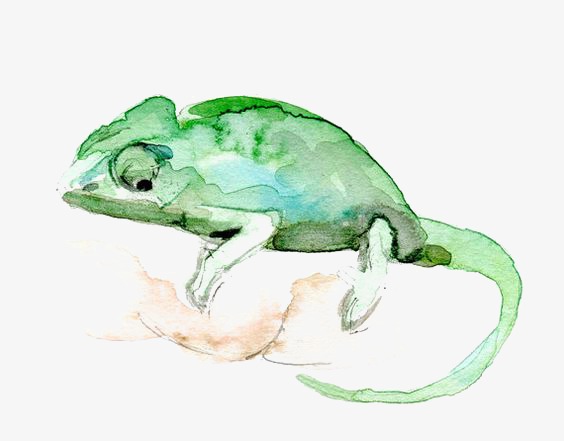 564x441 Watercolor Chameleon, Watercolor Clipart, Chameleon, Animal Png - Watercolor Chameleon