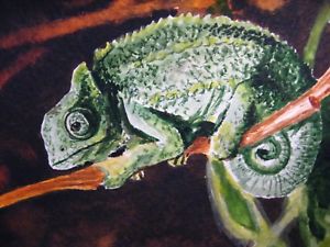 300x225 Watercolor Painting Chameleon Nature Tree Branch Aceo Art . Ebay - Watercolor Chameleon