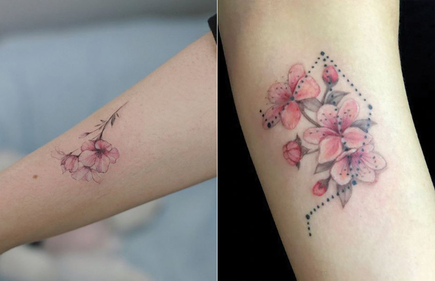 Watercolor Cherry Blossom Tattoo Back 250 Japanese Cherry Blossom