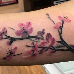 280x280 Darkside Tattoo Flower Cherry Blossom Tattoos - Watercolor Cherry Blossom Tattoo