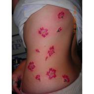 190x190 Watercolor Cherry Blossom Tattoo Girl Tattoos Design - Watercolor Cherry Blossom Tattoo