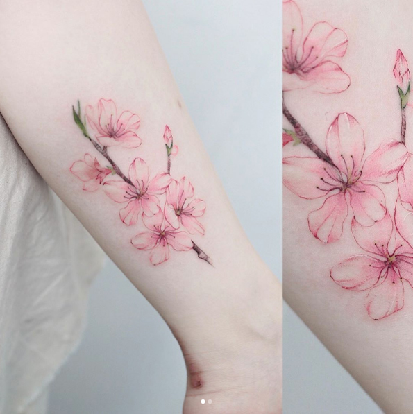 595x597 48 Cherry Blossom Tattoos That Are Way Beyond Perfect - Watercolor Cherry Blossom Tattoo
