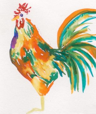 308x367 Fun With Watercolor Chicken Portraits From Our Flock - Watercolor Chicken
