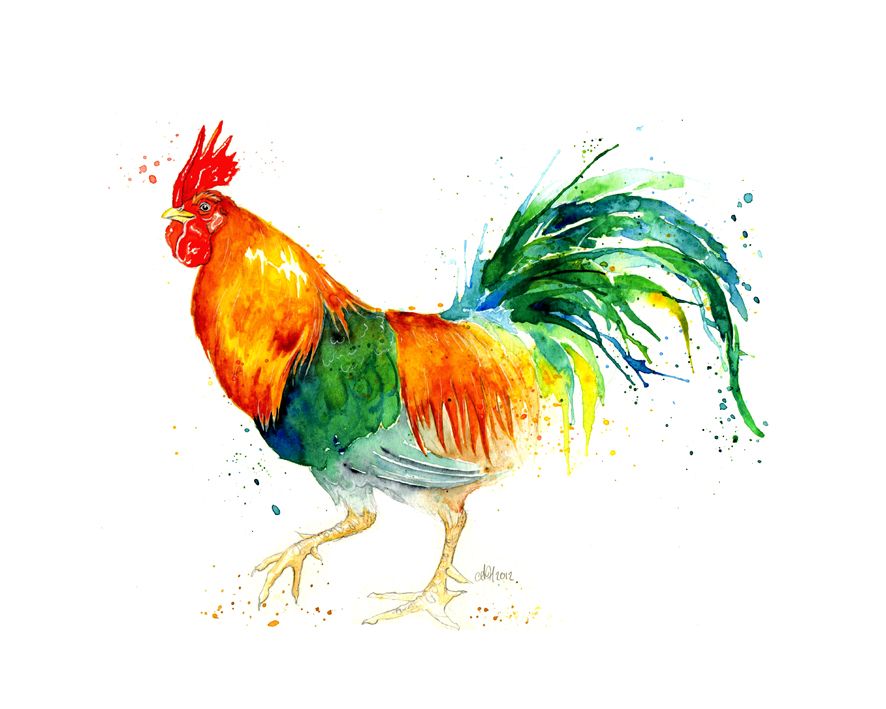 886x709 Image Result For Chickens In Watercolor Chickens - Watercolor Chicken