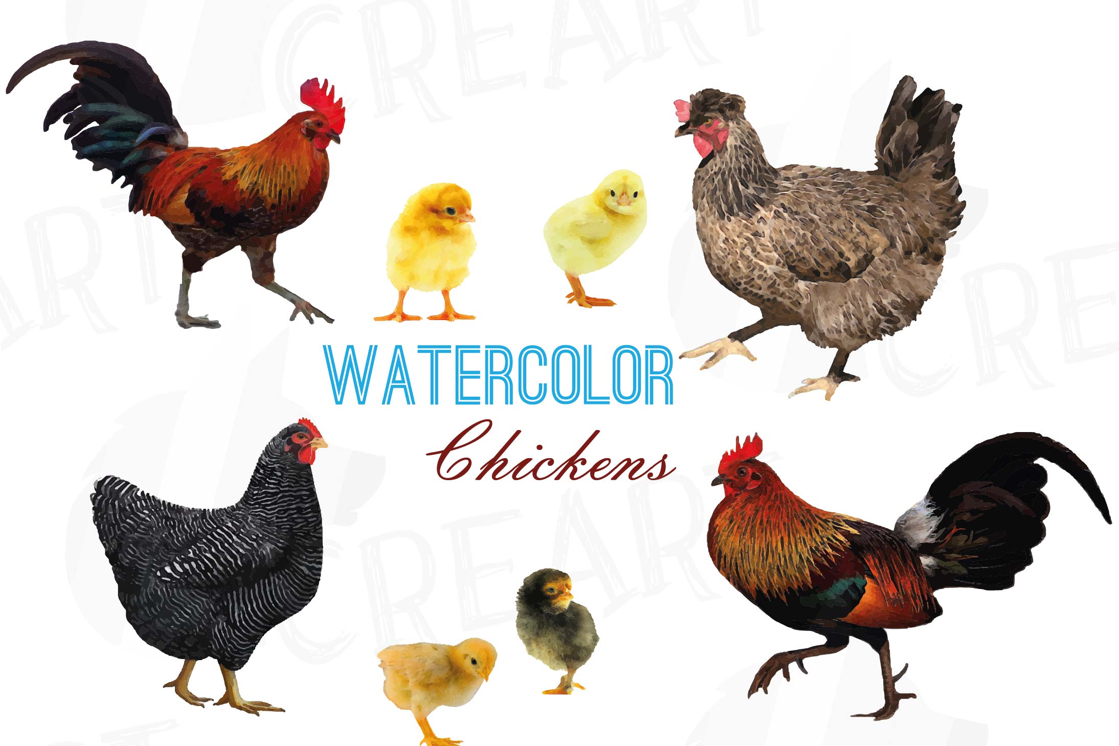 2188x1459 Watercolor Chickens Clip Art Collection, Hen And Rooster - Watercolor Chicken
