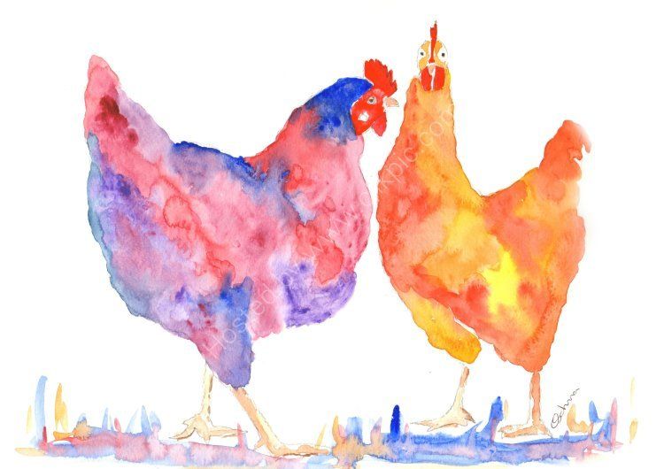 750x530 Art - Watercolor Chicken