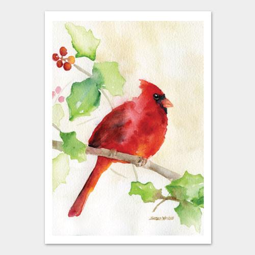 500x500 Cardinal And Holly Watercolor Christmas Card Set Susan Windsor - Watercolor Christmas Cards